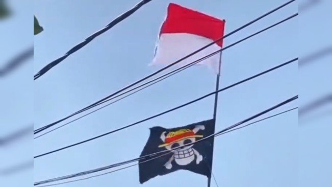 Viral Bendera Bajak Laut One Piece Dikibarkan, DPR Waspadai Upaya Pecah Belah