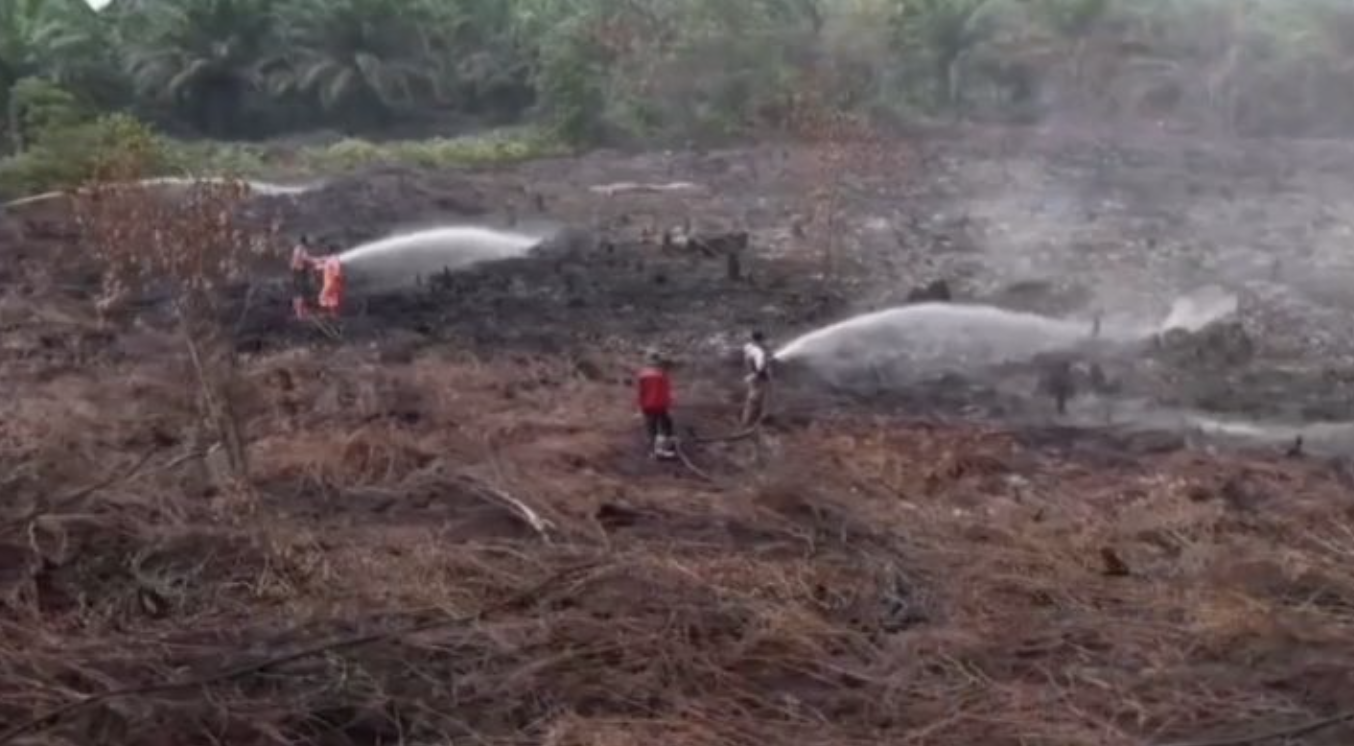 Kebakaran Lahan di Riau Kembali Terjadi, BPBD Imbau Cegah Pembakaran Gambut
