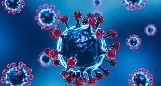 Kemenkes Pastikan Belum Ada Kasus Virus Nipah di Indonesia