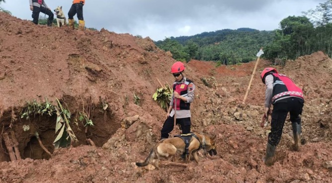 Tim SAR Temukan 8 Jasad Korban Longsor di Cilacap, Total Tewas Menjadi 11 Orang