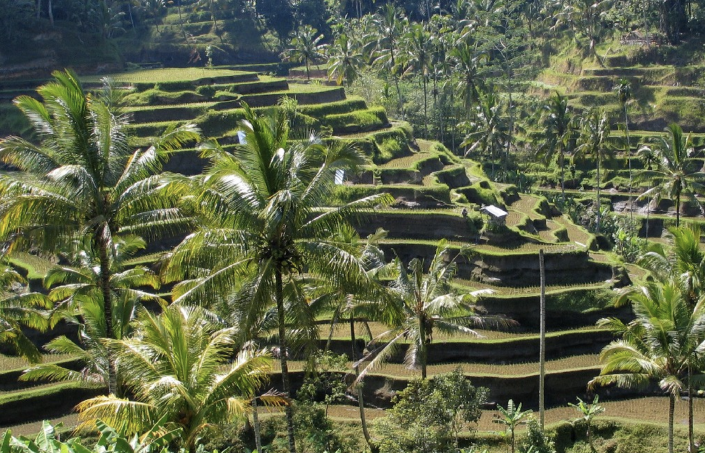 DailyMail: Indonesia Termasuk Negara Teraman Jika Perang Dunia Ketiga Terjadi