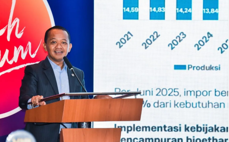 Hilirisasi Jadi Kunci Transformasi Ekonomi, Pemerintah Perkuat Nilai Tambah SDA Nasional