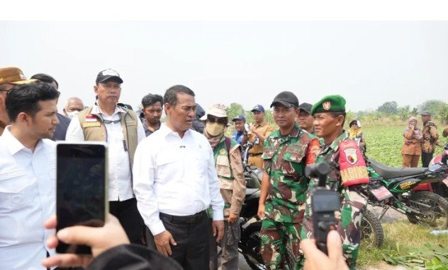 Mentan Jelaskan TNI Bantu Petani tanpa Honor Tambahan