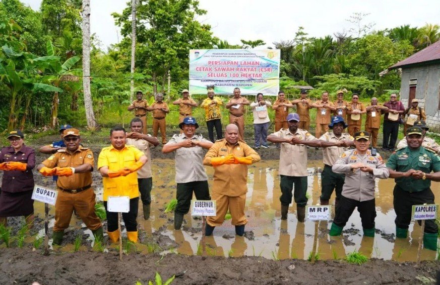 Pemprov Papua percepat cetak sawah 100 hektare di Kabupaten Waropen
