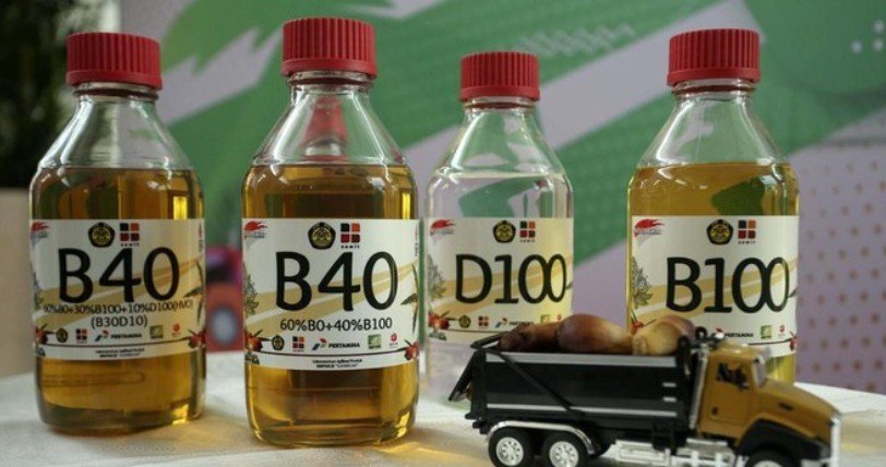 Program Biodiesel B50 Diminta Dikaji Ulang, Dinilai Bebani Anggaran