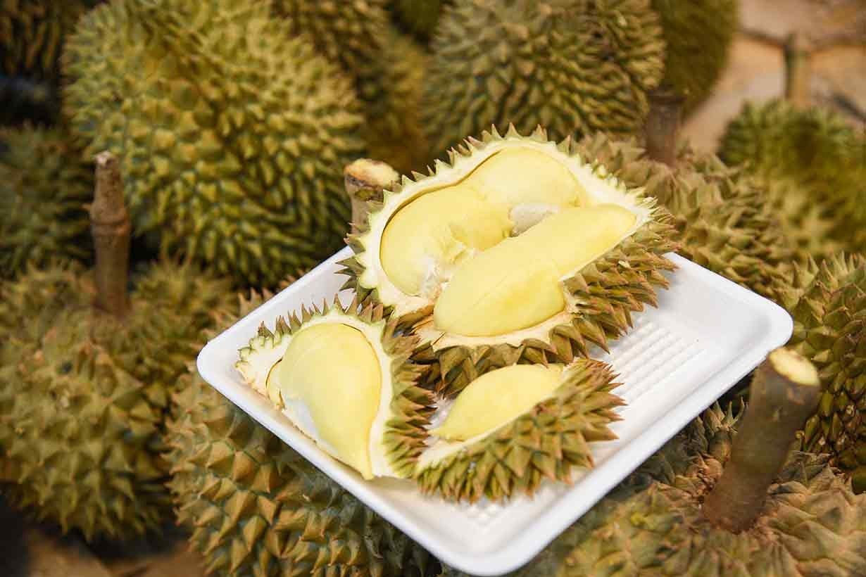 Durian Ilegal Asal Malaysia Banjiri Pasar Indonesia, Petani Lokal Teriak Rugi