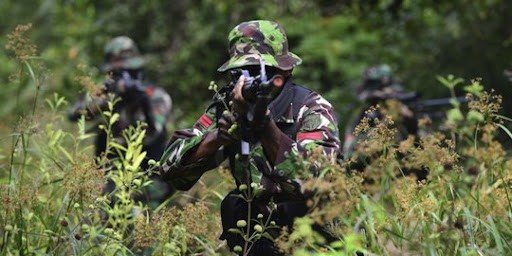 Operasi Senyap TNI di Papua Berhasil Lumpuhkan Dua Pentolan OPM