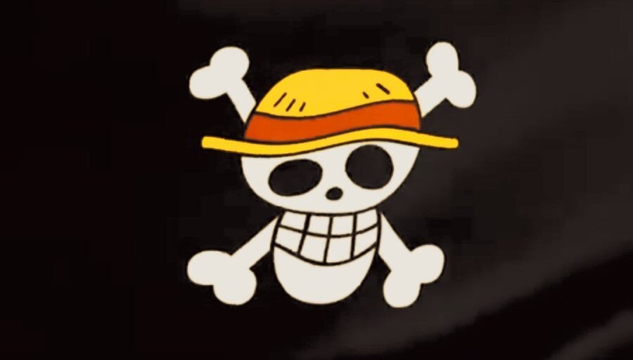 Pengibaran Bendera One Piece Marak, Respons Tegas dari Wakil Ketua MPR