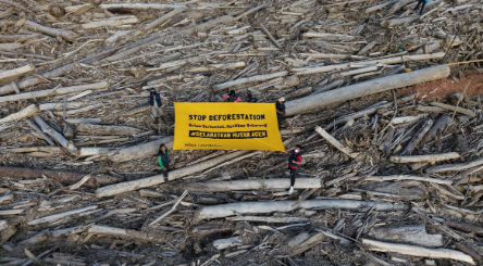 Akhiri Banjir Berulang di Aceh, Deforestasi Wajib Berhenti